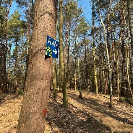 44b, Debina, Cichy, 400 M Do Plazy Przez Debina (Ustka)